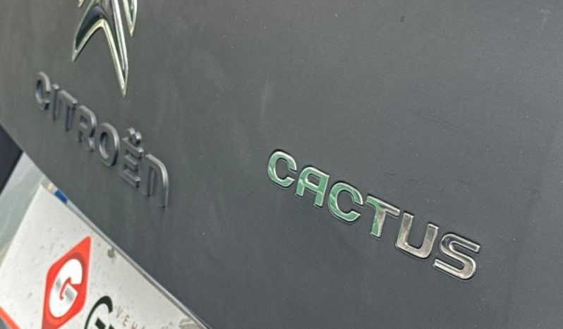 CITROËN C4 CACTUS SHINE 1.2 84CV lleno