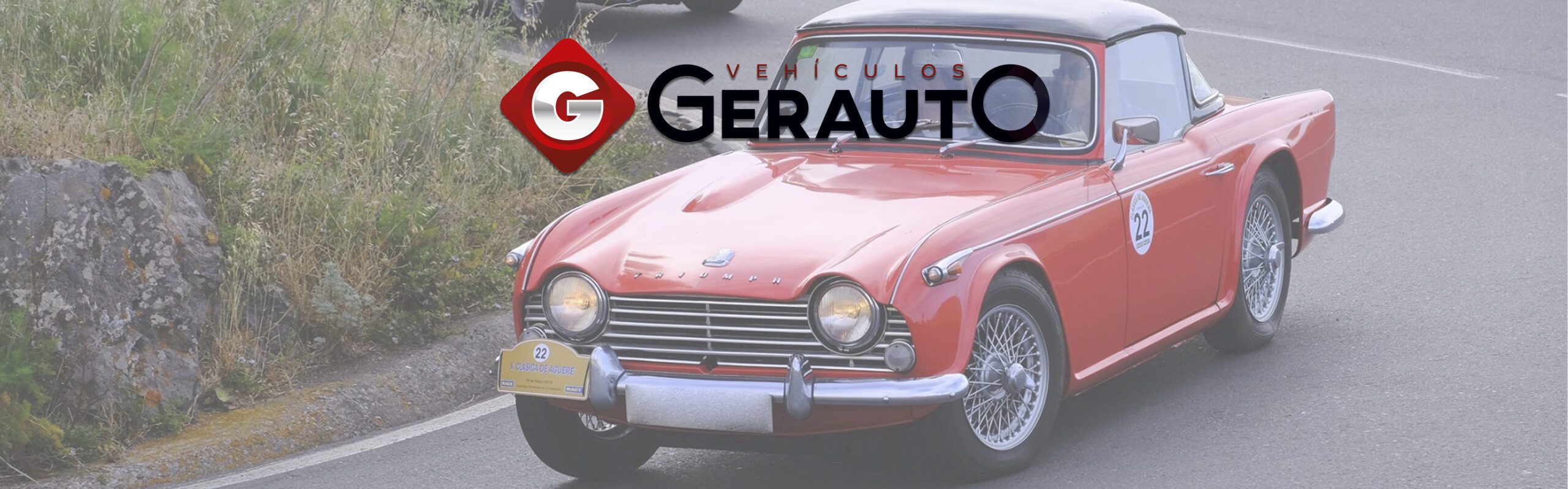 banner gerauto 8 scaled
