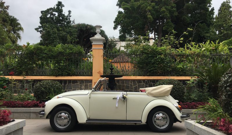 COCHES CLASICOS PARA EVENTOS lleno