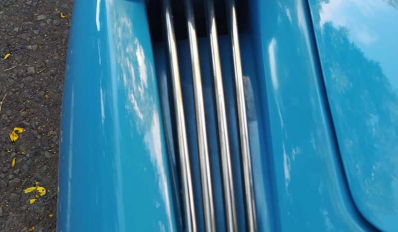 ALPINE A110 1.300 FASA AÑO 1972 «LA BESTIA» lleno
